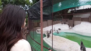 年轻的啦啦队长在宿舍房间里享受骑着黑色的鸡巴
