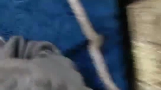 [短视频区] 美女主播