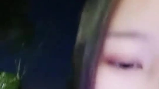 探花精选176