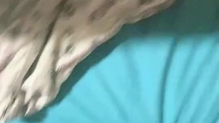 台湾齐天大圣大战血衣女真实拿刀上演特殊插法的最大骚度北鼻的最大硬度