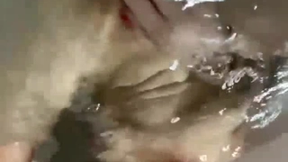 AVOP-154 足立共同区営団地 日焼け少女わいせつ映像
